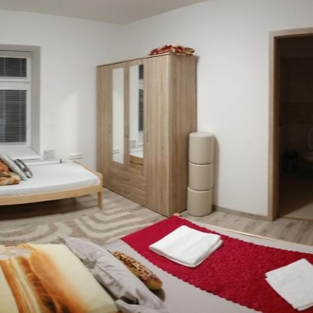 Železná Ruda Viet Sen Pension מראה חיצוני תמונה