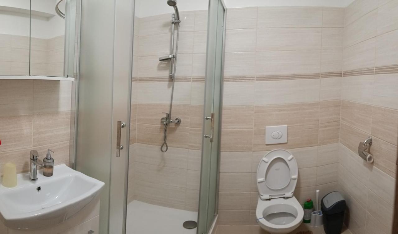 Železná Ruda Viet Sen Pension מראה חיצוני תמונה