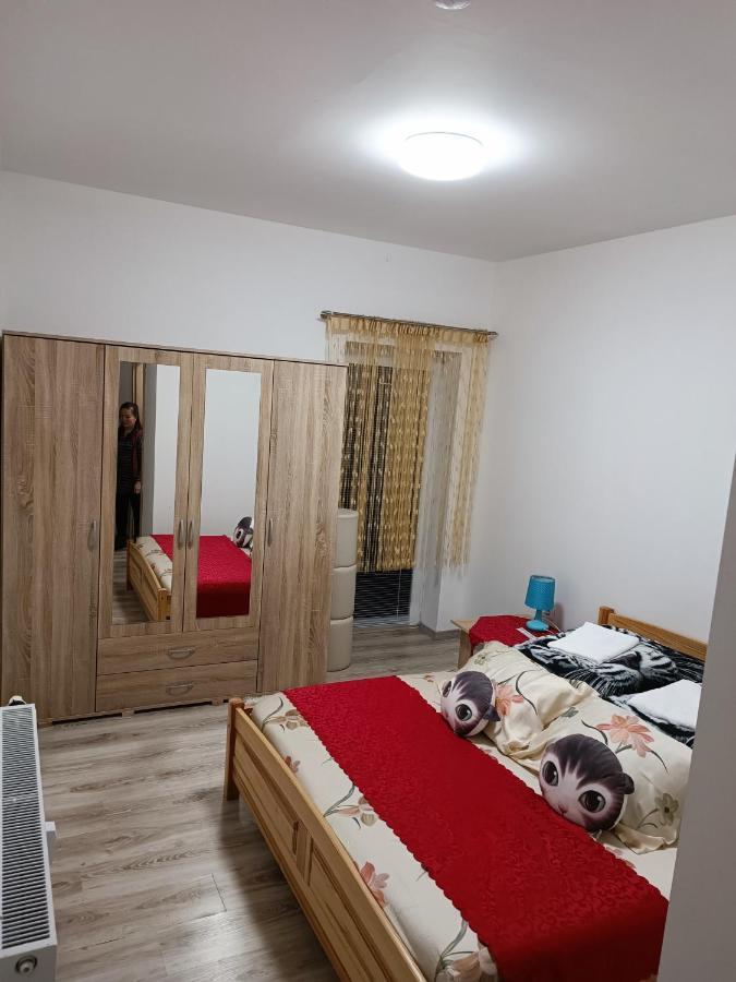 Železná Ruda Viet Sen Pension מראה חיצוני תמונה